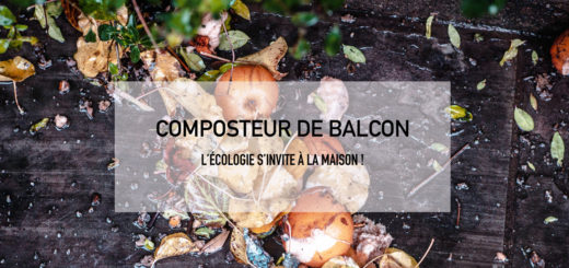 Composteur de balcon : conseils et avis pour un geste écolo !